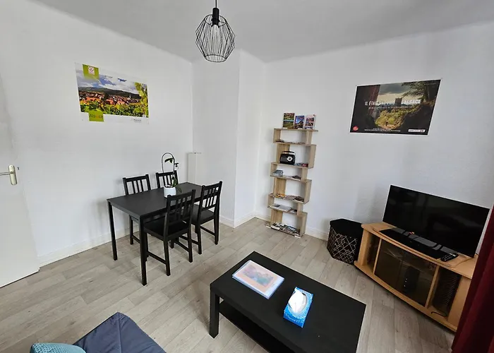 Apartmán Le Nid Des Cigognes A Centre, Proche Gare, Marches De Noel *