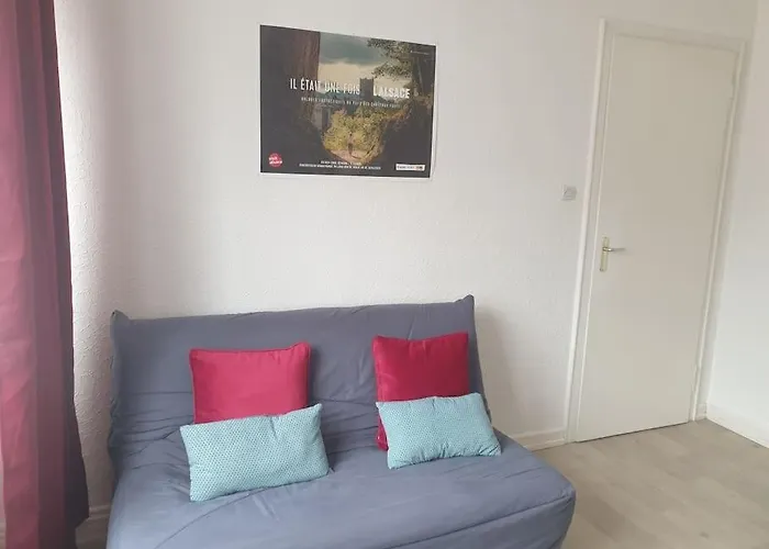 Le Nid Des Cigognes A Centre, Proche Gare, Marches De Noel * Colmar