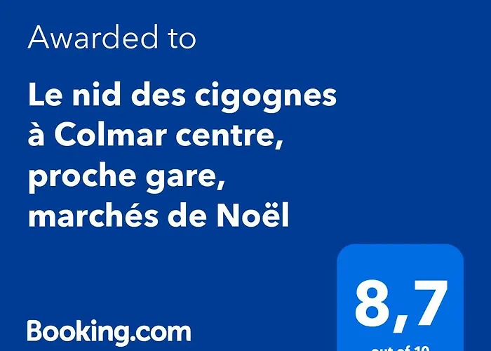 Le Nid Des Cigognes A Centre, Proche Gare, Marches De Noel * Colmar